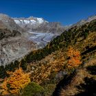 Aletschgletscher