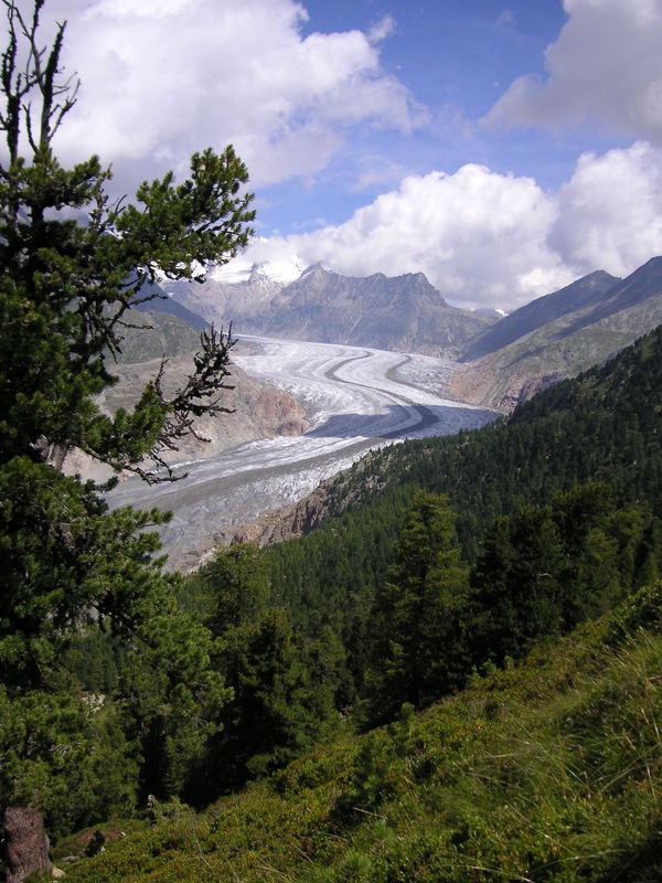 Aletschgletscher