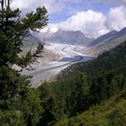 Aletschgletscher