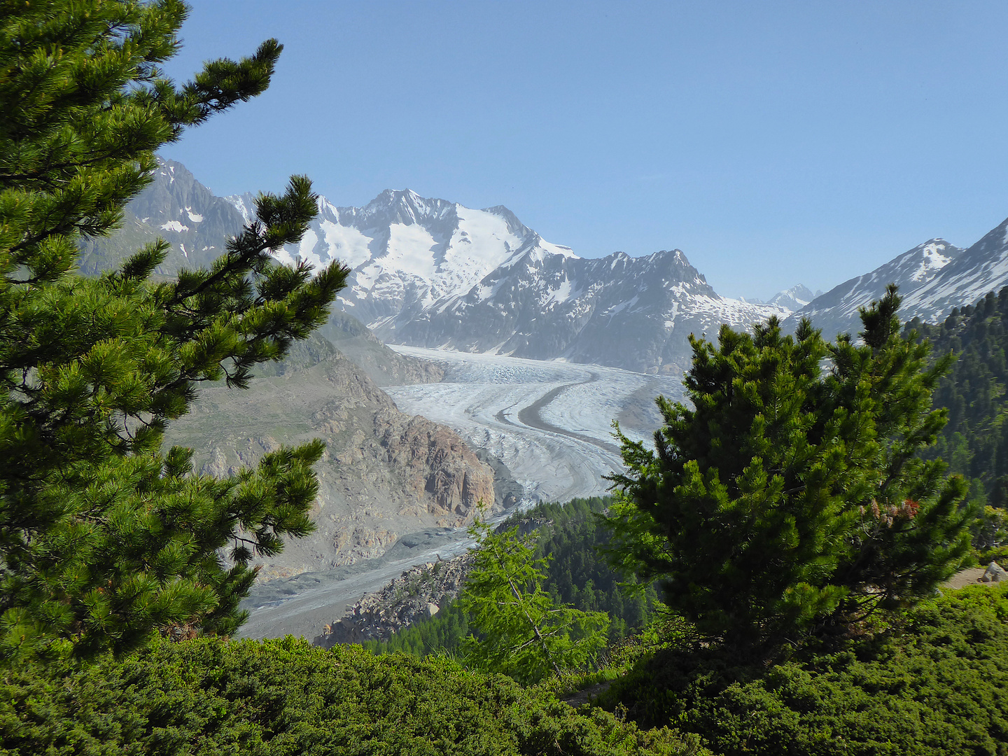 Aletschgletscher