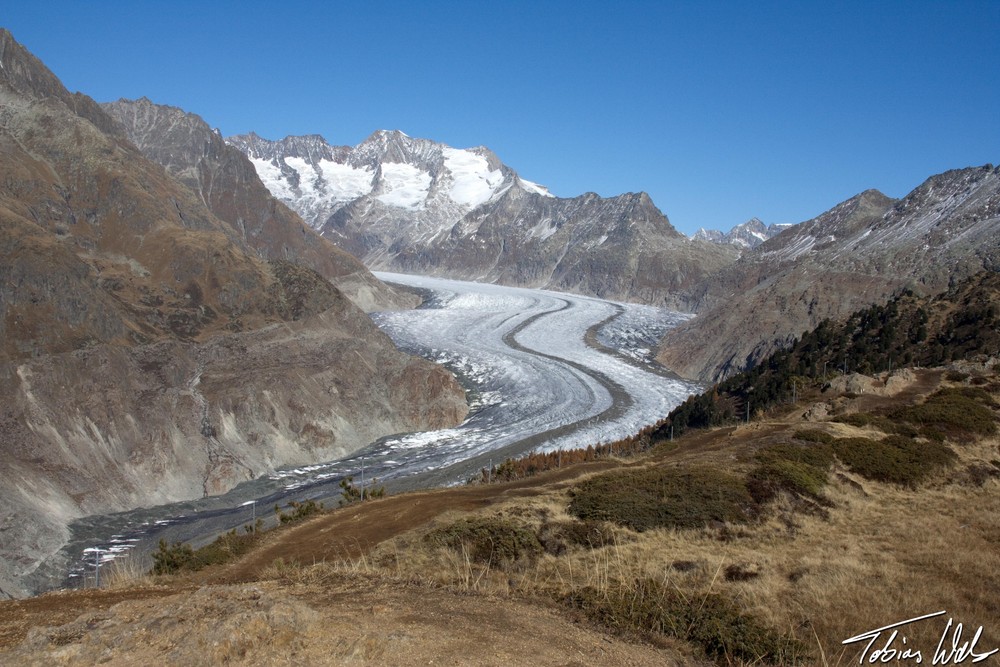 Aletschgletscher