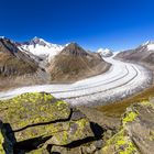 Aletschgletscher