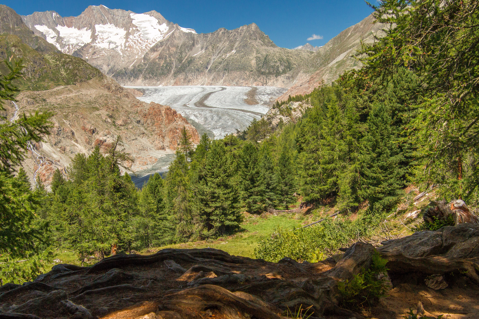 Aletschgletscher