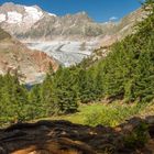 Aletschgletscher