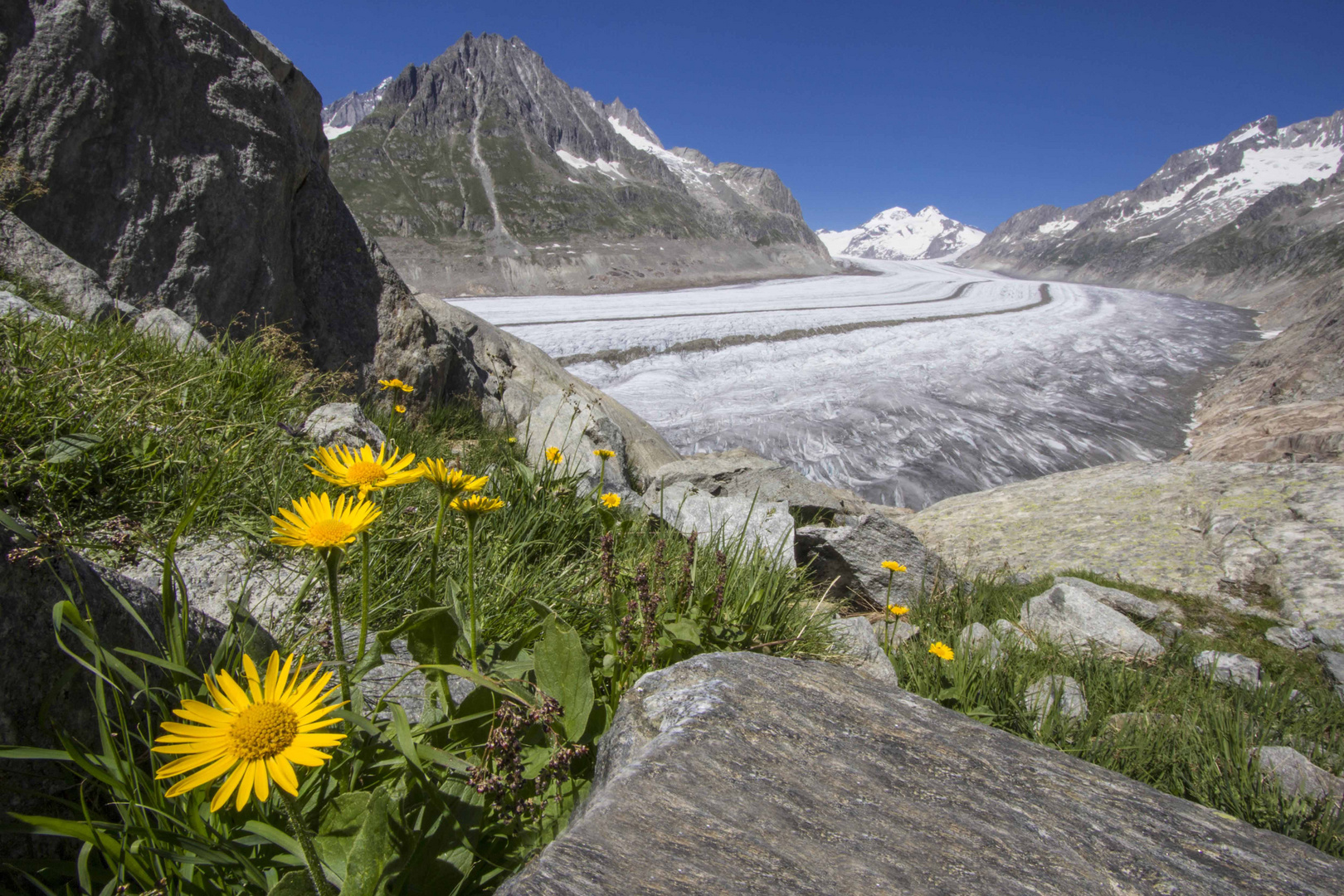 Aletschgletscher, Concordiaplatz