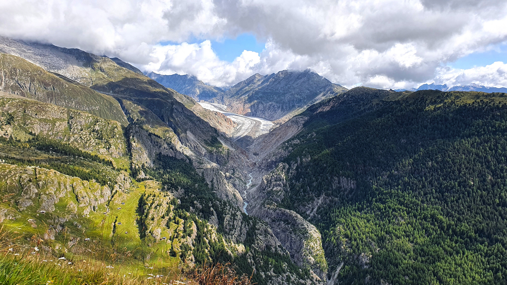 Aletschgletscher