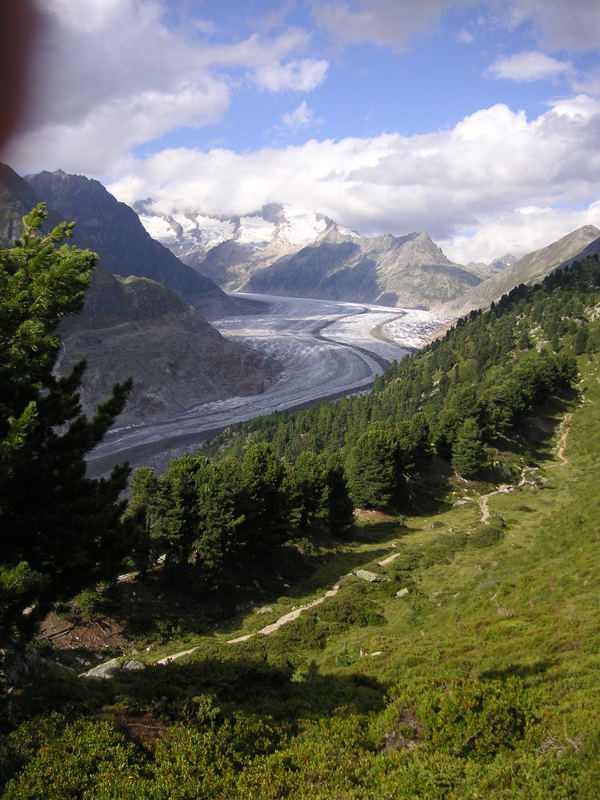 Aletschgletscher Du herrlicher!