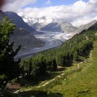 Aletschgletscher Du herrlicher!