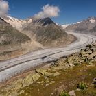 Aletschgletscher