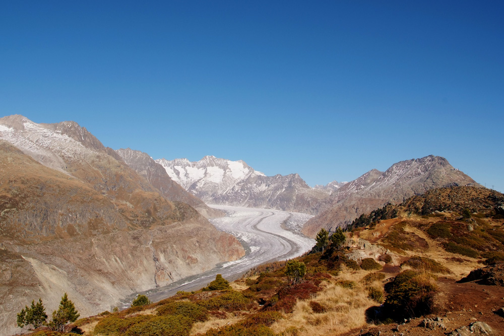 Aletschgletscher