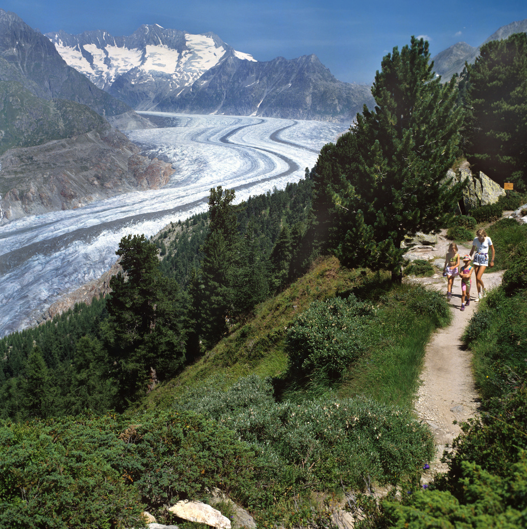 Aletschgletscher, Hohfluh, Schweiz, 1987 