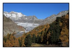 Aletschgletscher im Herbstgewand