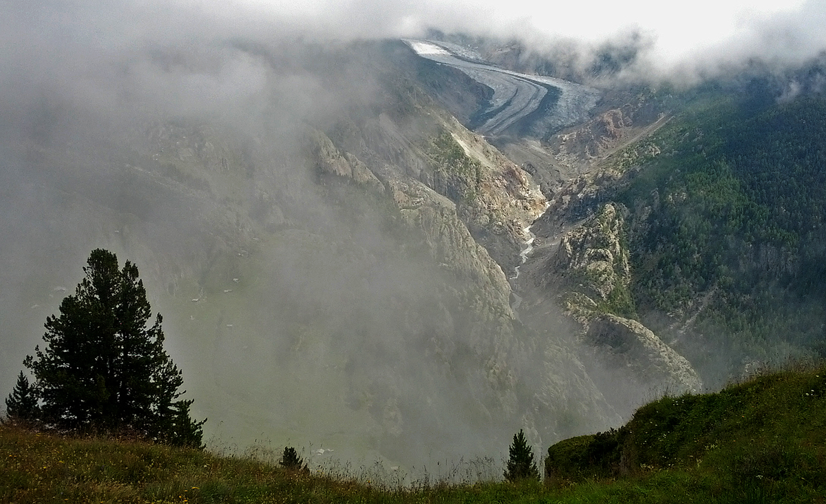 Aletschgletscher im Nebelfenster