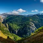 Aletschgletscher mit Wald