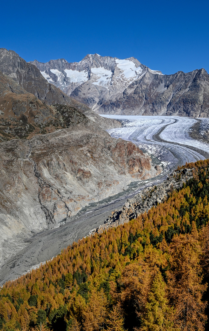 Aletschgletscher  Moosfluh