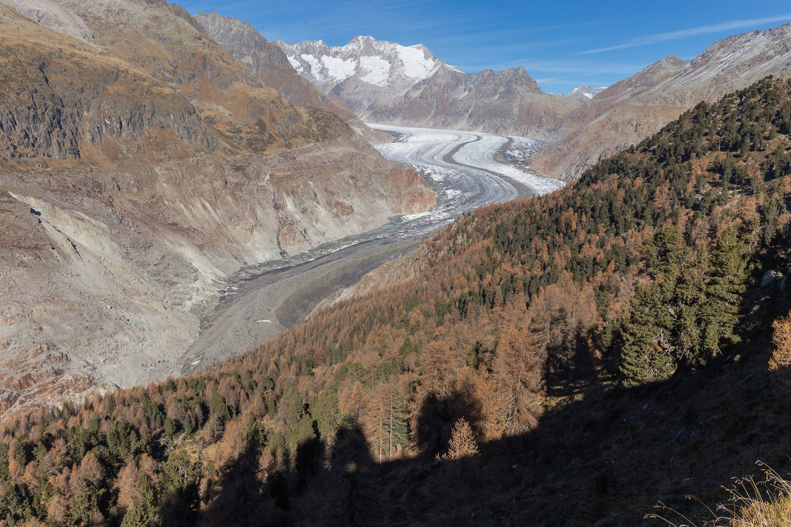 Aletschgletscher vom Moränenweg aus gesehen