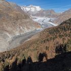 Aletschgletscher vom Moränenweg aus gesehen