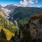 Aletschwald mit Gletscher