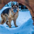 Alex Blick durch den Tunnel