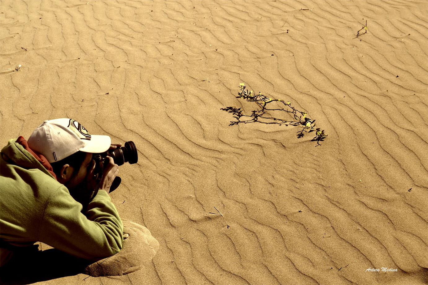 ALEX FOTÓGRAFO