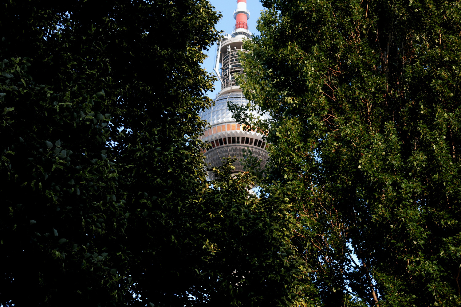 Alex im Grünen