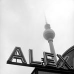 Alex im Nebel