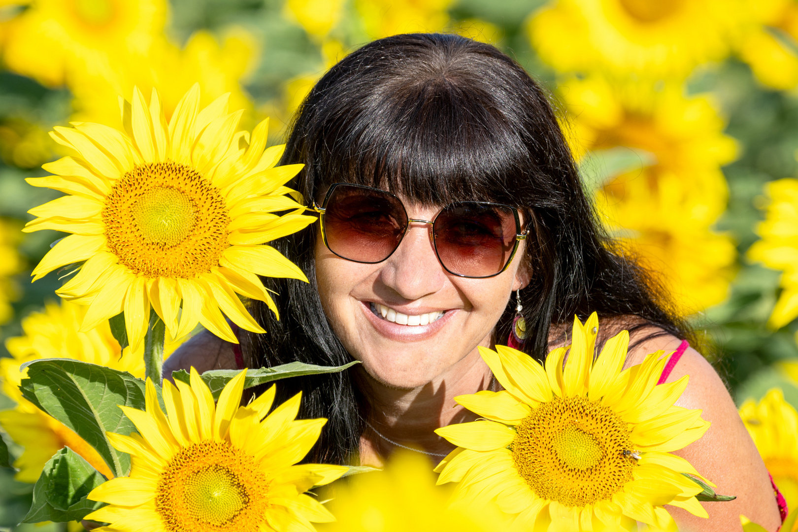 Alex Sander im Sonnenblumenfeld 