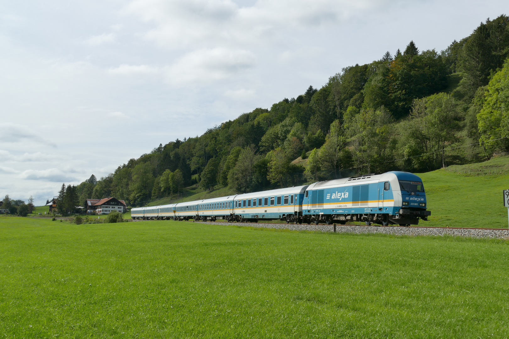 Alex`a bei Ratholz im Allgäu