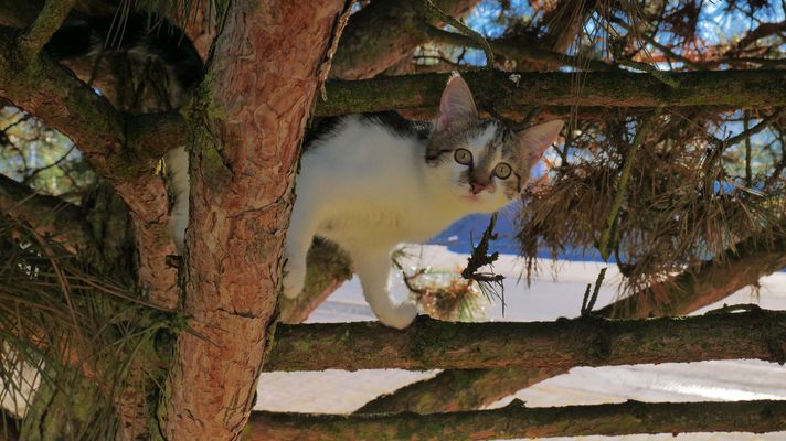Alexa geht es schon wieder gut...