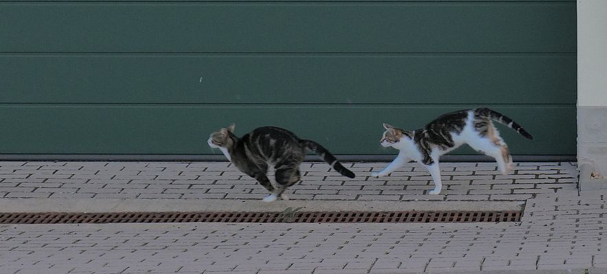 Alexa und Leonardo beim Spielen