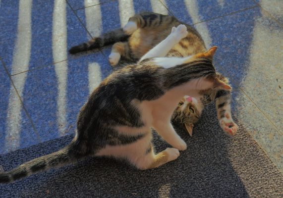 Alexa und Leonardo beim Spielen