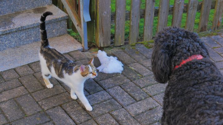 Alexa und Wicky-Emily