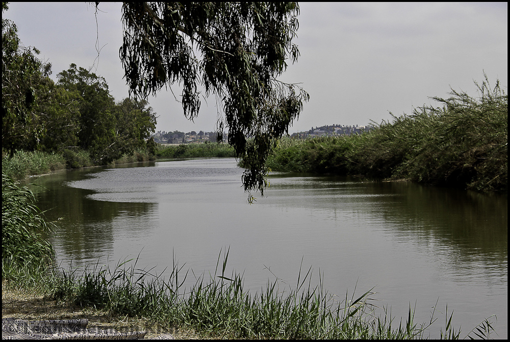 Alexander stream