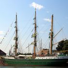 Alexander von Humboldt "