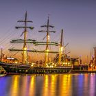 Alexander von Humboldt am Sonntag im Neuen Hafen