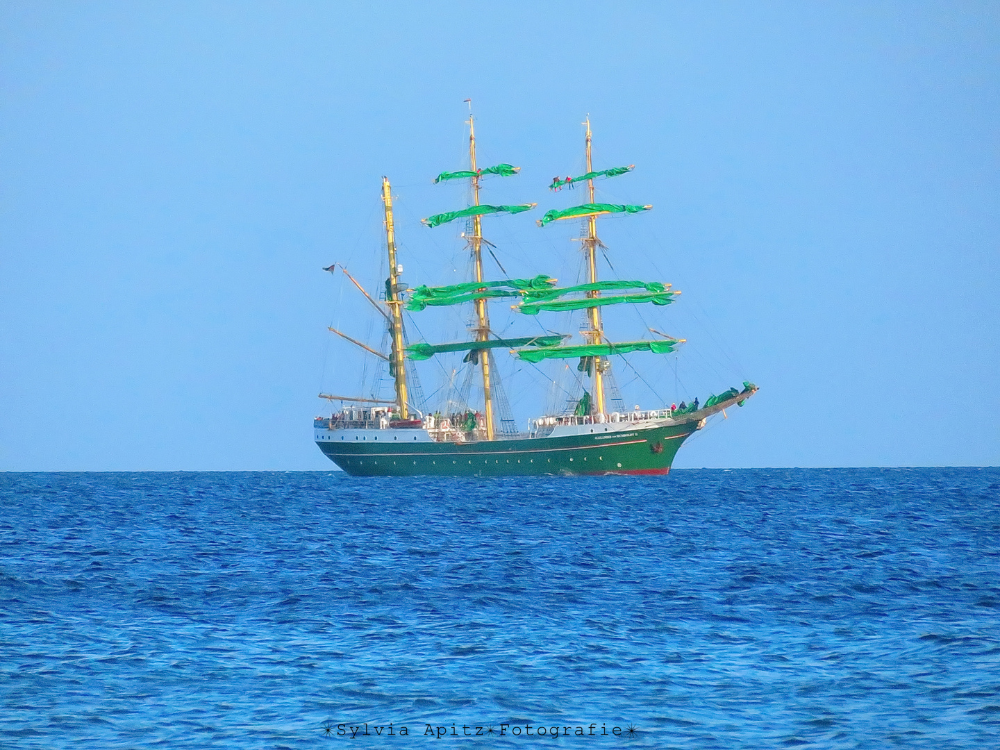 Alexander von Humboldt II