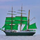 Alexander von Humboldt II