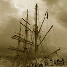 Alexander von Humboldt II /2