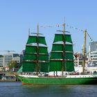 Alexander von Humboldt II.