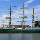 Alexander von Humboldt II