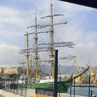 Alexander von Humboldt II