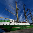 Alexander von Humboldt II