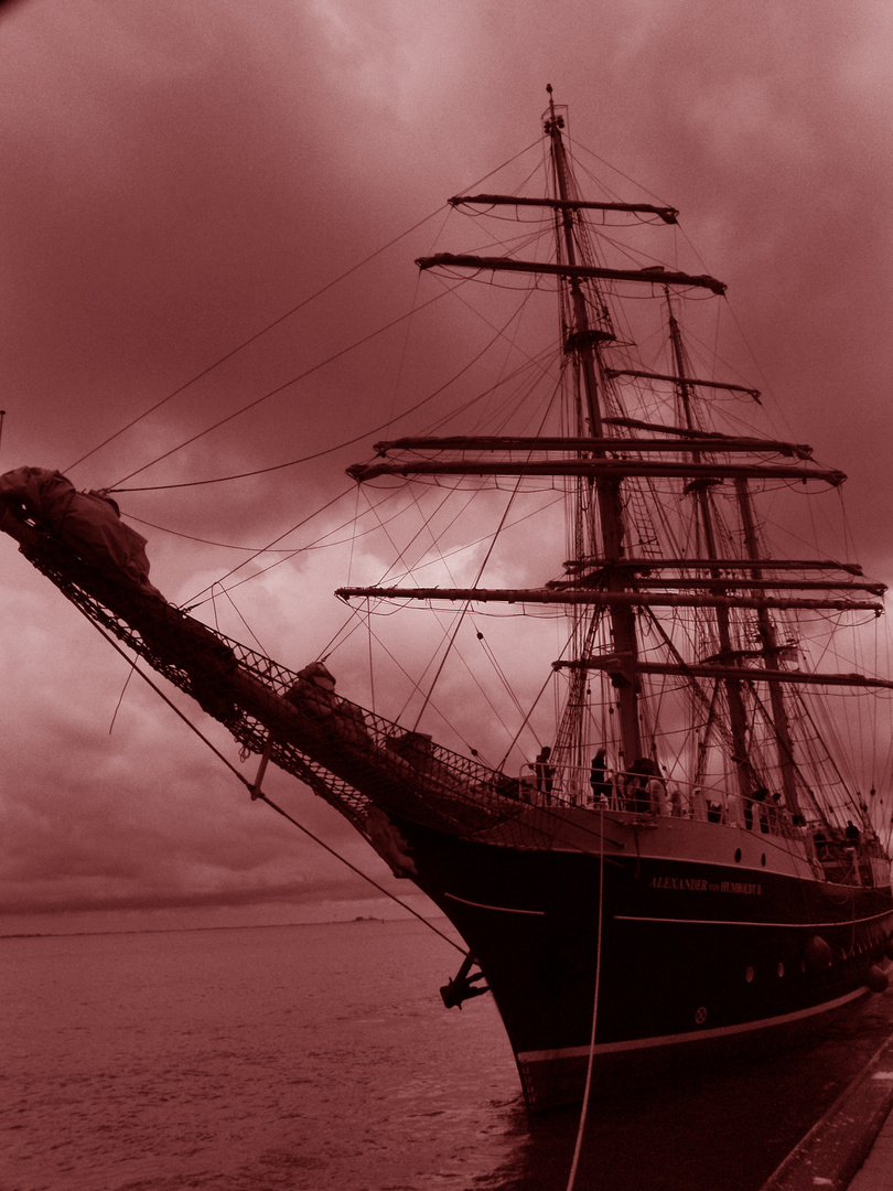 Alexander von Humboldt II