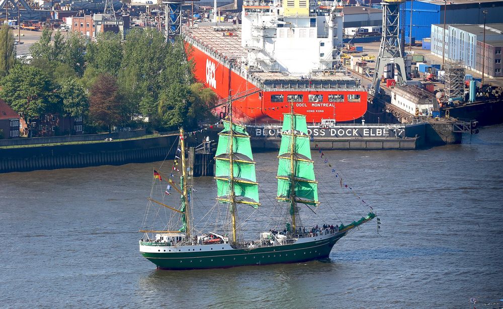 Alexander von Humboldt II