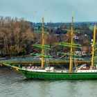 Alexander von Humboldt II