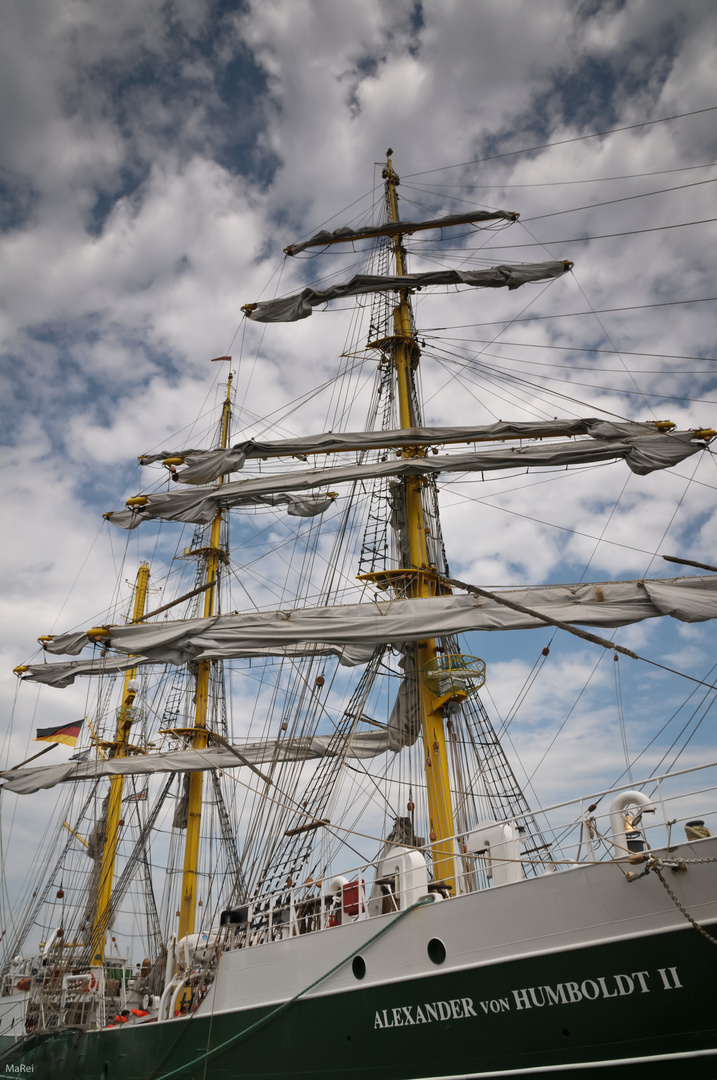 Alexander von Humboldt II