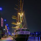 Alexander von Humboldt in der Sommernacht