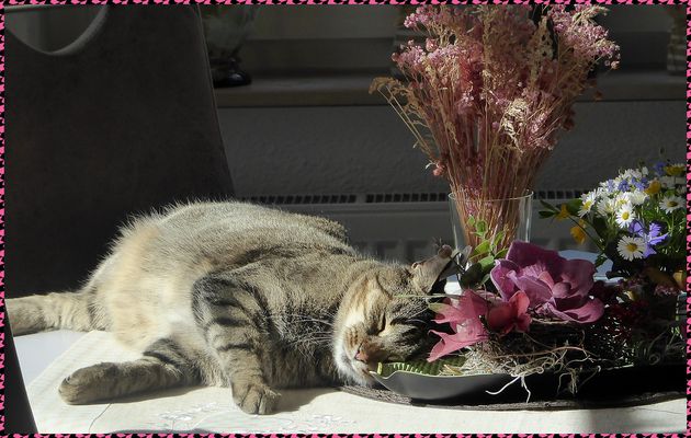 Alexandra hat Geburtstag