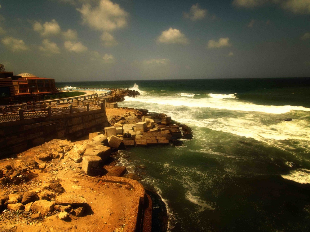 ALEXANDRIA °