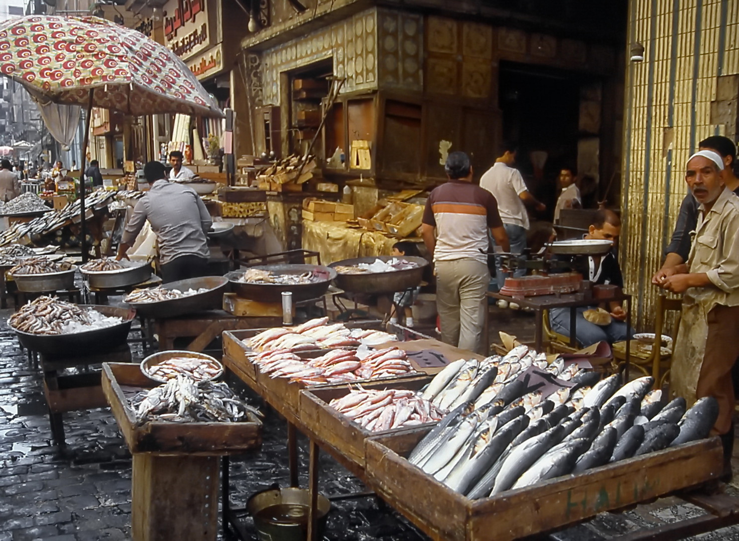 Alexandria Fischmarkt